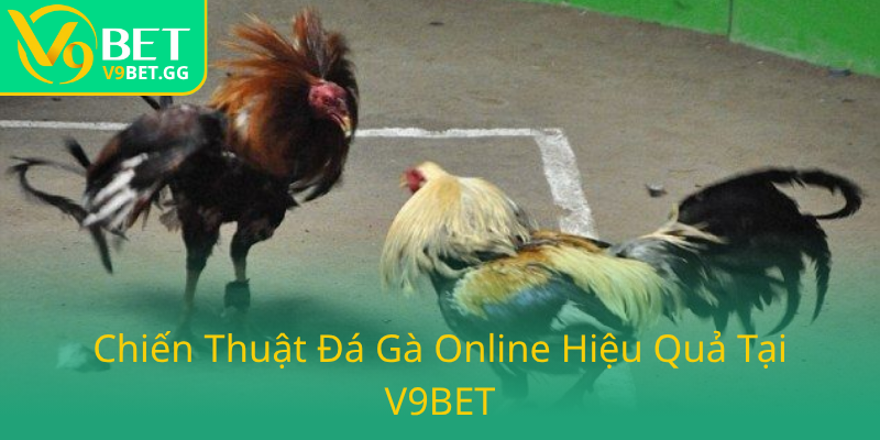 Đá Gà V9BET - Sân Chơi Cá Cược Không Thể Bỏ Lỡ Trong 2025 2 Chien Thuat Da Ga Online Hieu Qua Tai V9Bet6