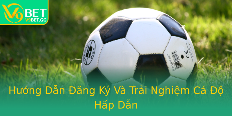 Hướng Dẫn Đăng Ký Và Trải Nghiệm Cá Độ Hấp Dẫn Hướng Dẫn Đăng Ký Và Trải Nghiệm Cá Độ Hấp Dẫn