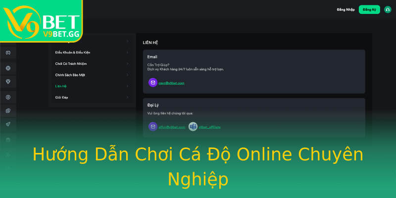 Hướng Dẫn Chơi Cá Độ Online Chuyên Nghiệp Hướng Dẫn Chơi Cá Độ Online Chuyên Nghiệp