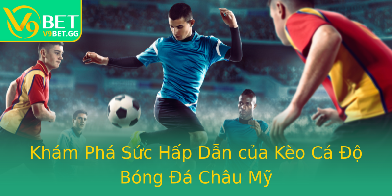 Khám Phá Sức Hấp Dẫn của Kèo Cá Độ Bóng Đá Châu Mỹ Khám Phá Sức Hấp Dẫn của Kèo Cá Độ Bóng Đá Châu Mỹ