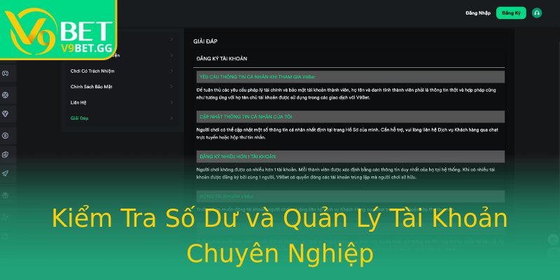 Kiểm Tra Số Dư và Quản Lý Tài Khoản Chuyên Nghiệp Kiểm Tra Số Dư và Quản Lý Tài Khoản Chuyên Nghiệp