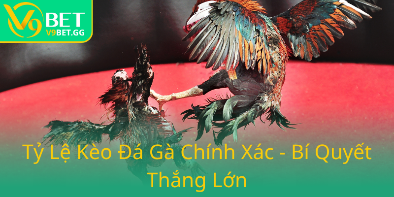 Đá Gà V9BET - Sân Chơi Cá Cược Không Thể Bỏ Lỡ Trong 2025 3 Ty Le Keo Da Ga Chinh Xac Bi Quyet Thang Lon6